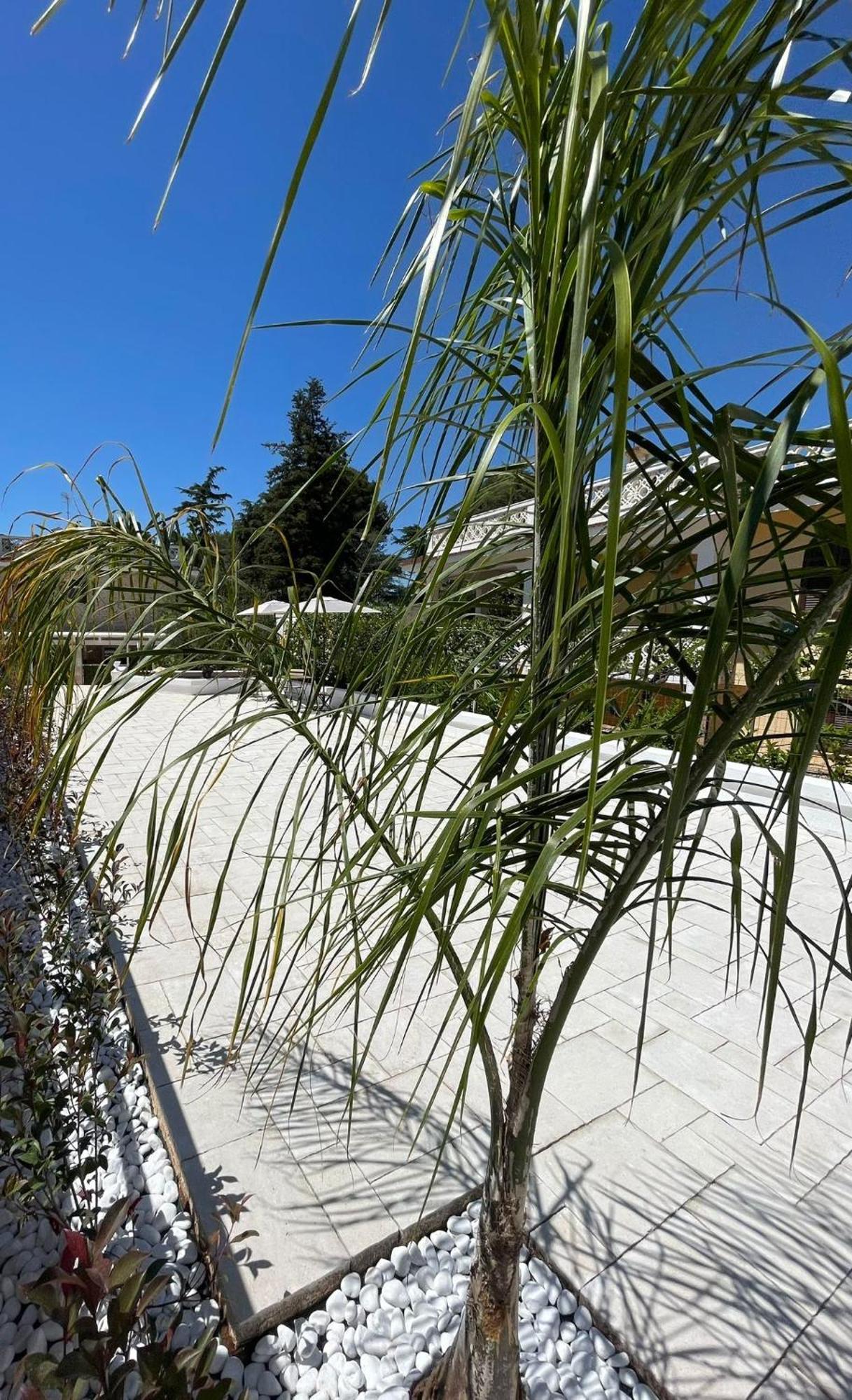 Allivigne Rooms & Pool Polignano a Mare Bagian luar foto